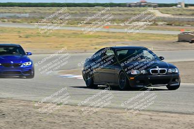 media/May-24-2025-Turn8 Trackdays (Sat) [[034586b55d]]/3 Inter 3/Session 2 (Cotton Corners-Grapevine)/
